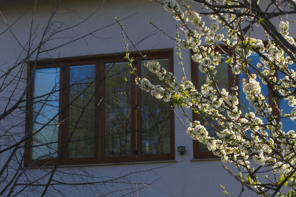 Farah Superior Apartments Bihac Luaran gambar